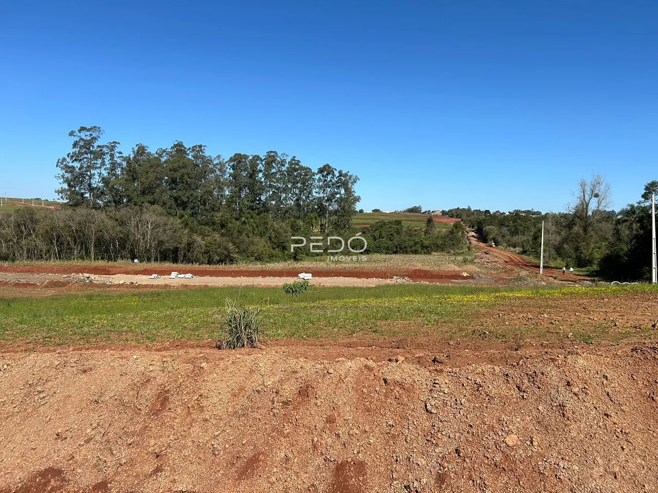 Paisagem rural com campo verde e vegetação ao fundo.