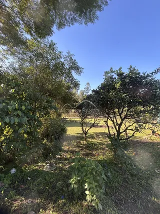 Vista externa de um jardim com árvores e grama sob um céu azul.