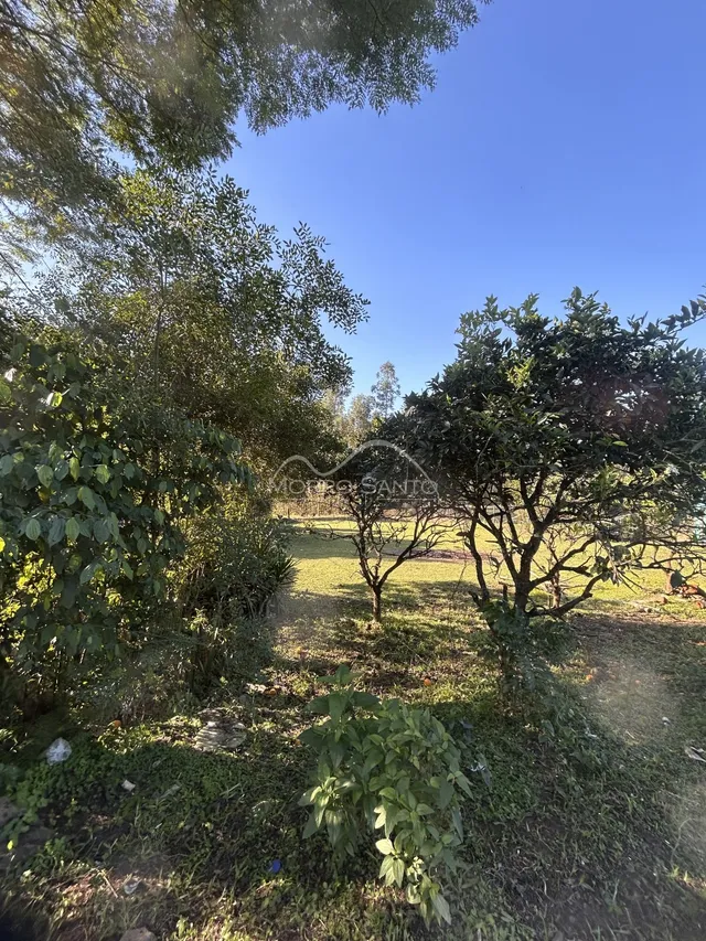 Vista externa de um jardim com árvores e grama sob um céu azul.