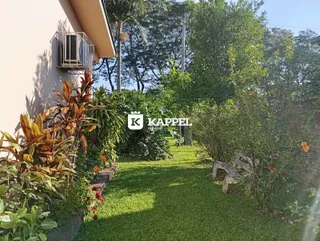Vista do jardim verde com vegetação densa em uma propriedade.