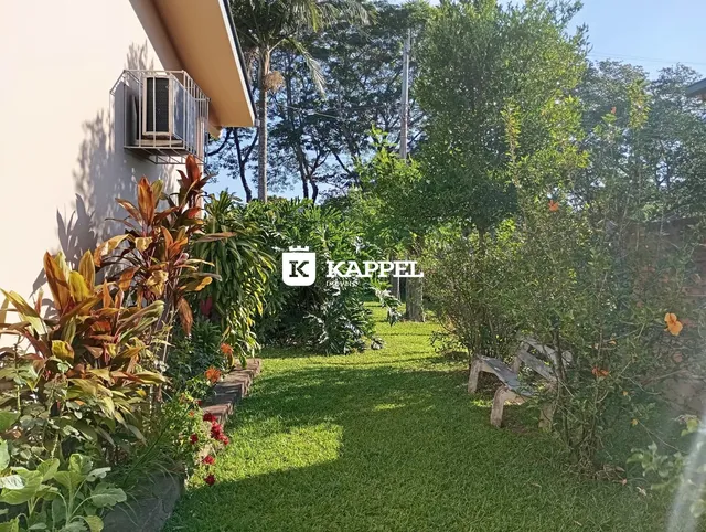 Vista do jardim verde com vegetação densa em uma propriedade.