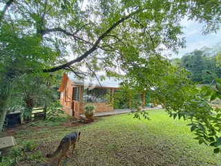 Área rural com 3 dormitórios, foto 18