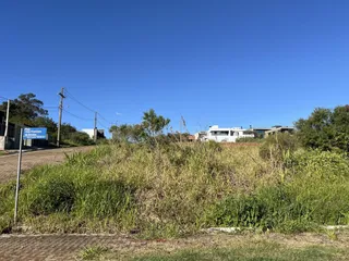 Vista externa de uma propriedade com vegetação alta no primeiro plano.