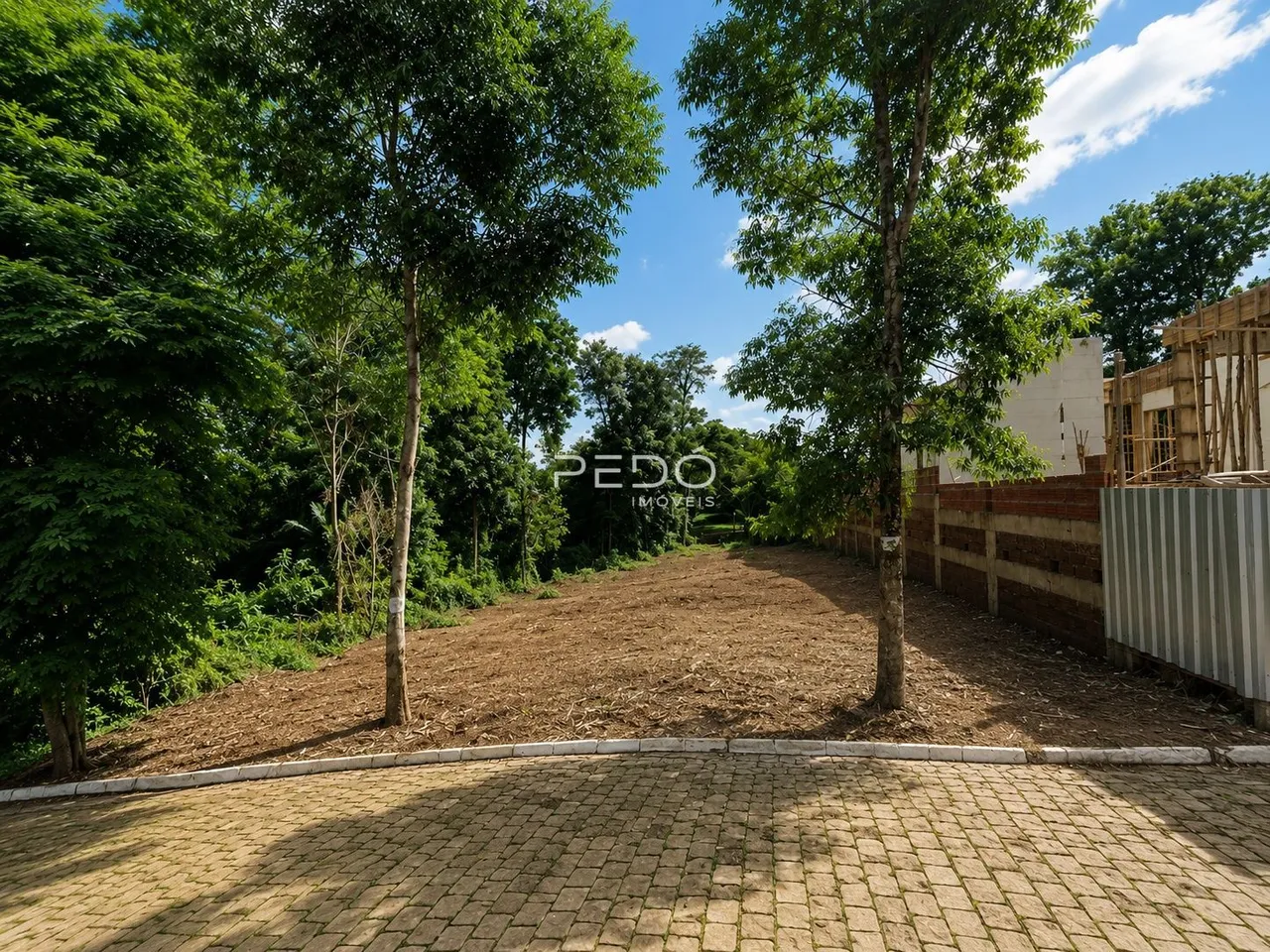 Vista externa de um terreno com piso de tijolos e vegetação densa ao redor.