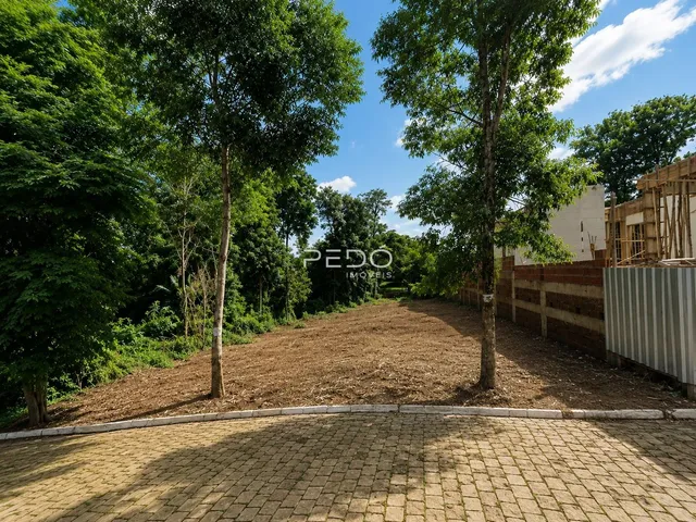 Vista externa de um terreno com piso de tijolos e vegetação densa ao redor.
