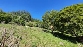 Vista de uma colina verde com vegetação densa sob um céu azul.
