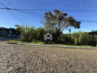 Vista da propriedade mostrando uma área pavimentada e vegetação densa ao lado da rua.