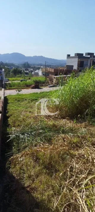 Terreno, foto 5