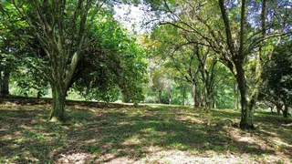Área rural com 2 dormitórios, foto 2