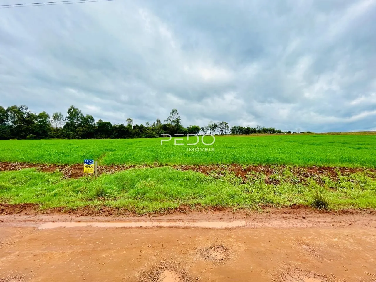 Terreno, foto 1