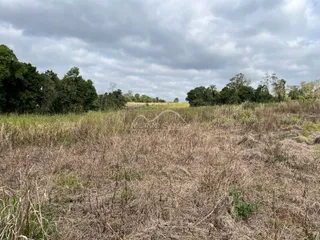 Vista de uma área de campo seca com vegetação rasteira sob um céu nublado.
