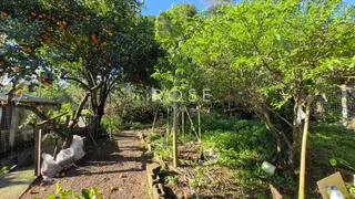 Casa com 4 dormitórios, foto 2