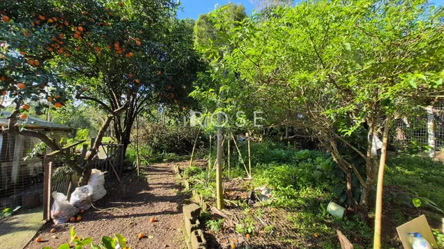 Casa com 4 dormitórios, foto 2