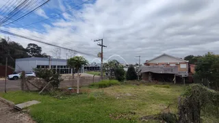 Terreno, foto 5