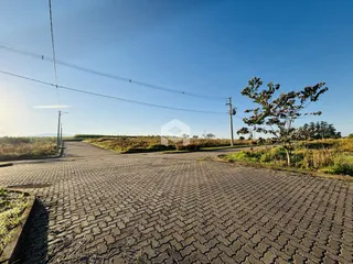 Vista da estrada de terra em uma propriedade em Lajeado, Brasil.