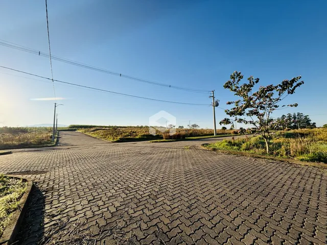 Vista da estrada de terra em uma propriedade em Lajeado, Brasil.