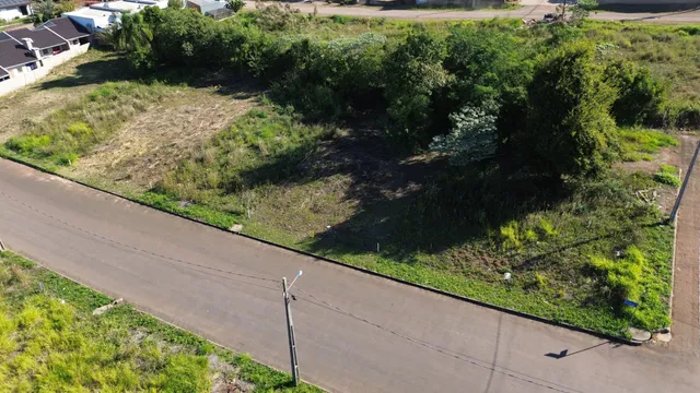 Vista aérea da propriedade mostrando a divisa com a rua e vegetação.