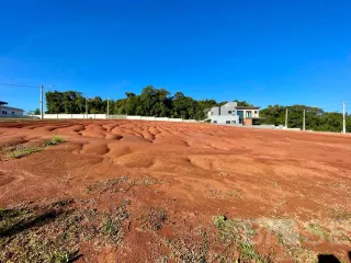 Terreno, foto 26
