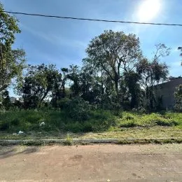 Vista externa mostrando vegetação densa e área de terra em Lajeado.