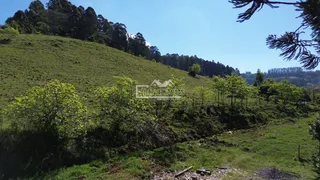 Área rural, foto 8
