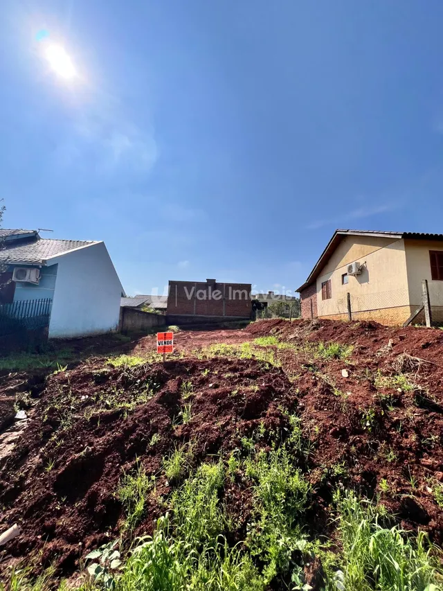 Vista de um terreno com terra revolvida e vegetação no exterior.
