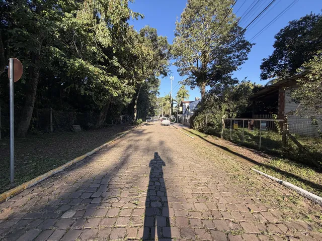 Vista da entrada de uma propriedade com uma estrada pavimentada e árvores ao longo do caminho.