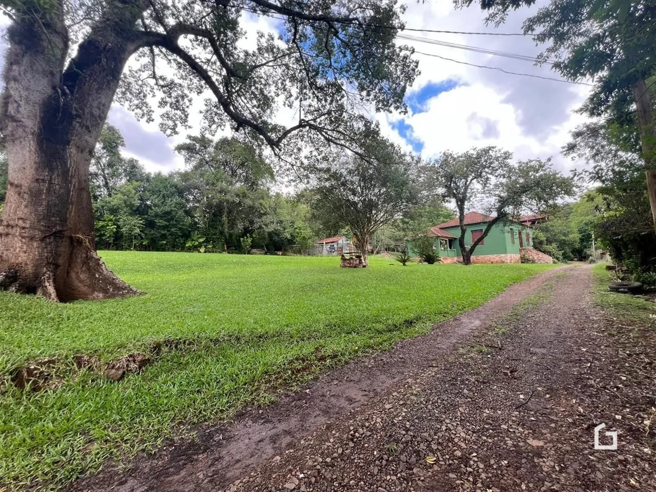 Paisagem rural com gramado verde e estrada de terra.