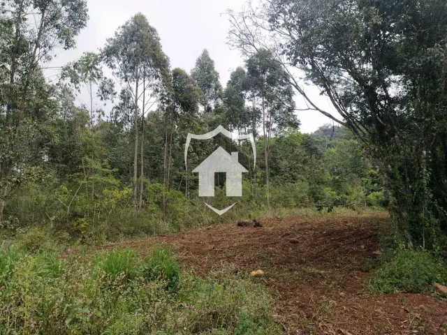 Área rural, foto 4