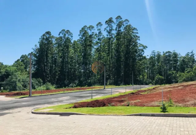 Terreno, foto 2