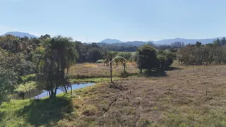 Vista panorâmica de uma paisagem rural com árvores e um corpo d'água no horizonte.