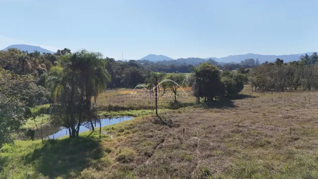 Vista panorâmica de uma paisagem rural com árvores e um corpo d'água no horizonte.