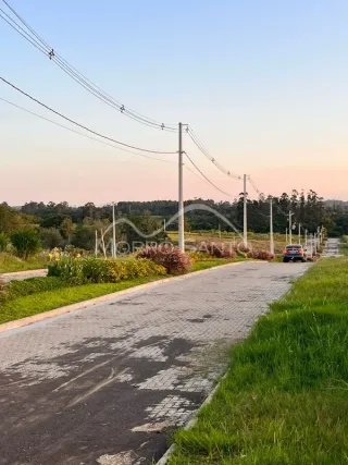 Vista da estrada e vegetação ao ar livre em Lajeado, Brasil.
