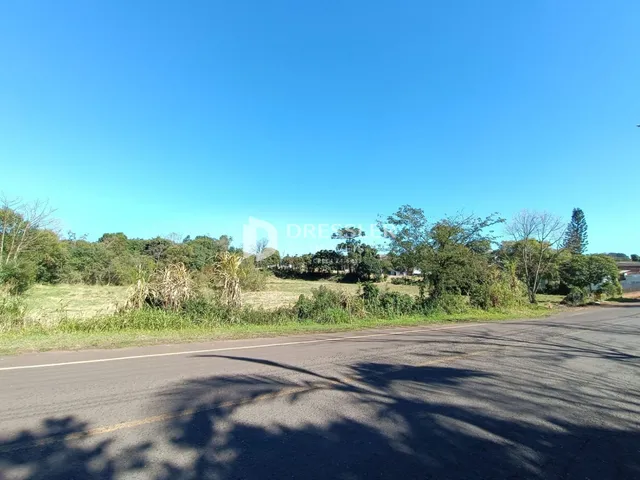 Vista de uma estrada rural com vegetação ao fundo.
