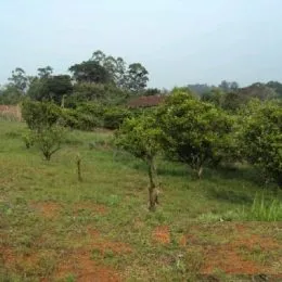 Área rural, foto 4