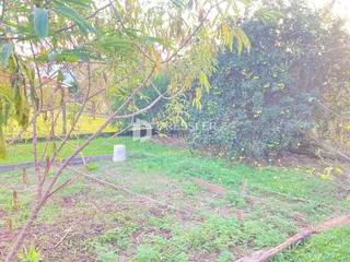 Terreno, foto 6