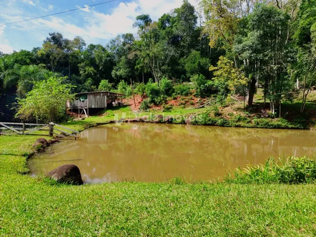 Área rural com 3 dormitórios, foto 3