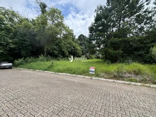 Vista externa da propriedade em Lajeado, Brasil, mostrando a frente e a vegetação ao lado da estrada.