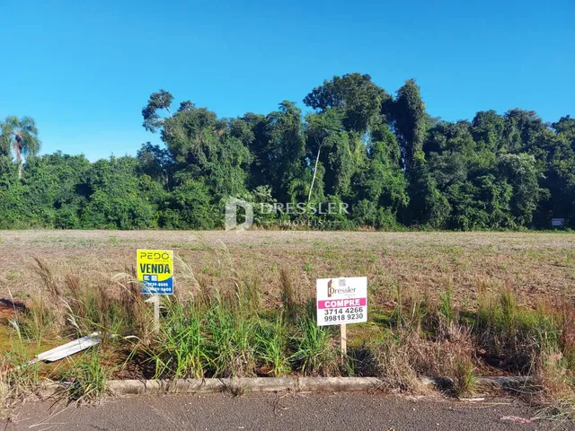 Terreno, foto 2