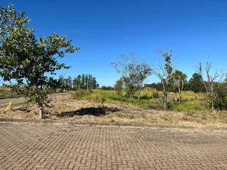 Vista externa da propriedade mostrando uma área pavimentada e vegetação seca sob céu azul.