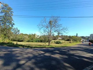 Vista da propriedade com vegetação e estrada.