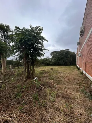 Terreno, foto 2
