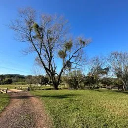 Área rural, foto 43