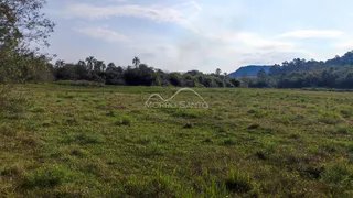 Vista de um campo aberto com vegetação rasteira e árvores ao fundo.