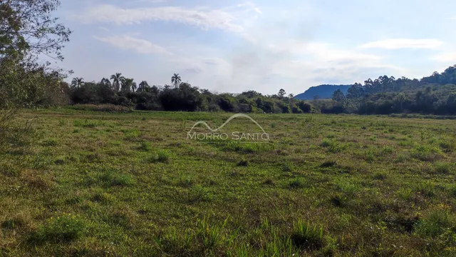 Vista de um campo aberto com vegetação rasteira e árvores ao fundo.