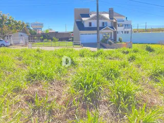 Terreno, foto 12