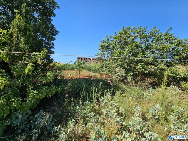 Terreno, foto 4