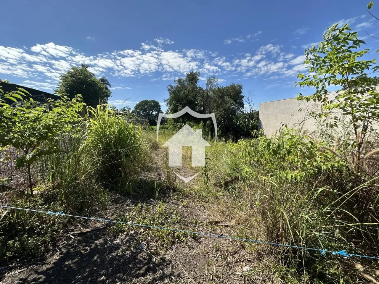 Terreno, foto 1