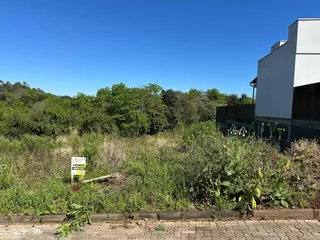 Fachada de uma residência com vegetação densa no primeiro plano.