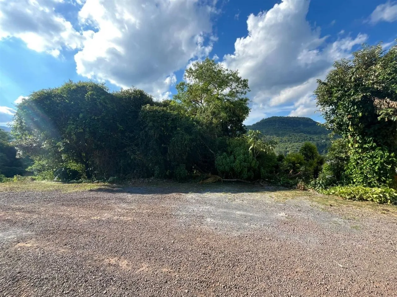 Terreno, foto 1