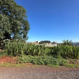 Paisagem de campo com vegetação verde sob um céu azul.
